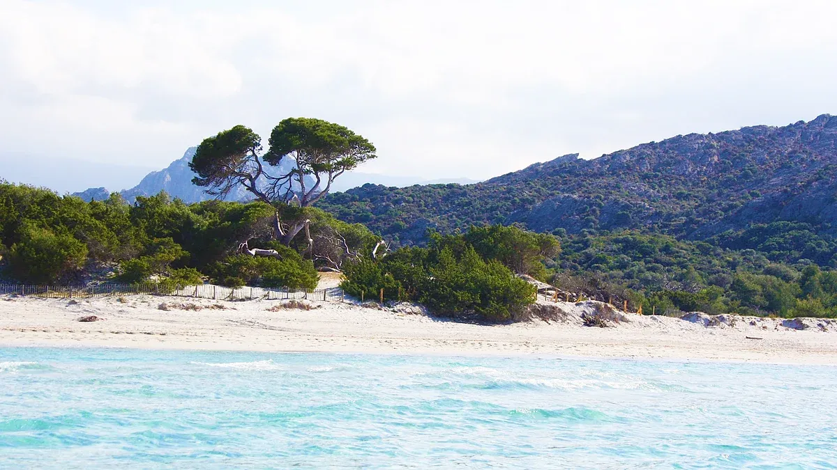 Centre Nautique Amphitrite